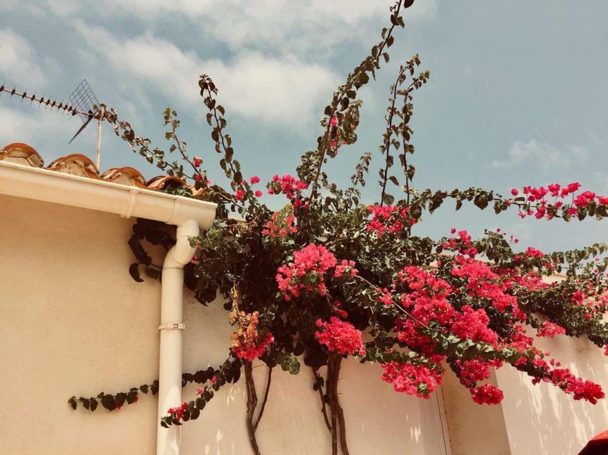 Lovely Apartment Old Town デニア エクステリア 写真